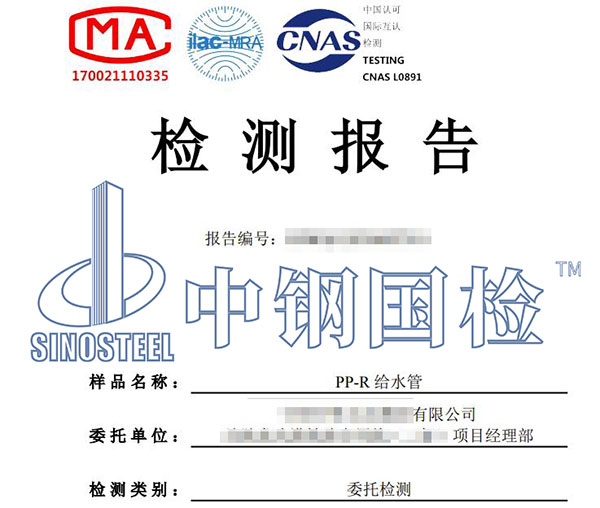 給水管檢測報告